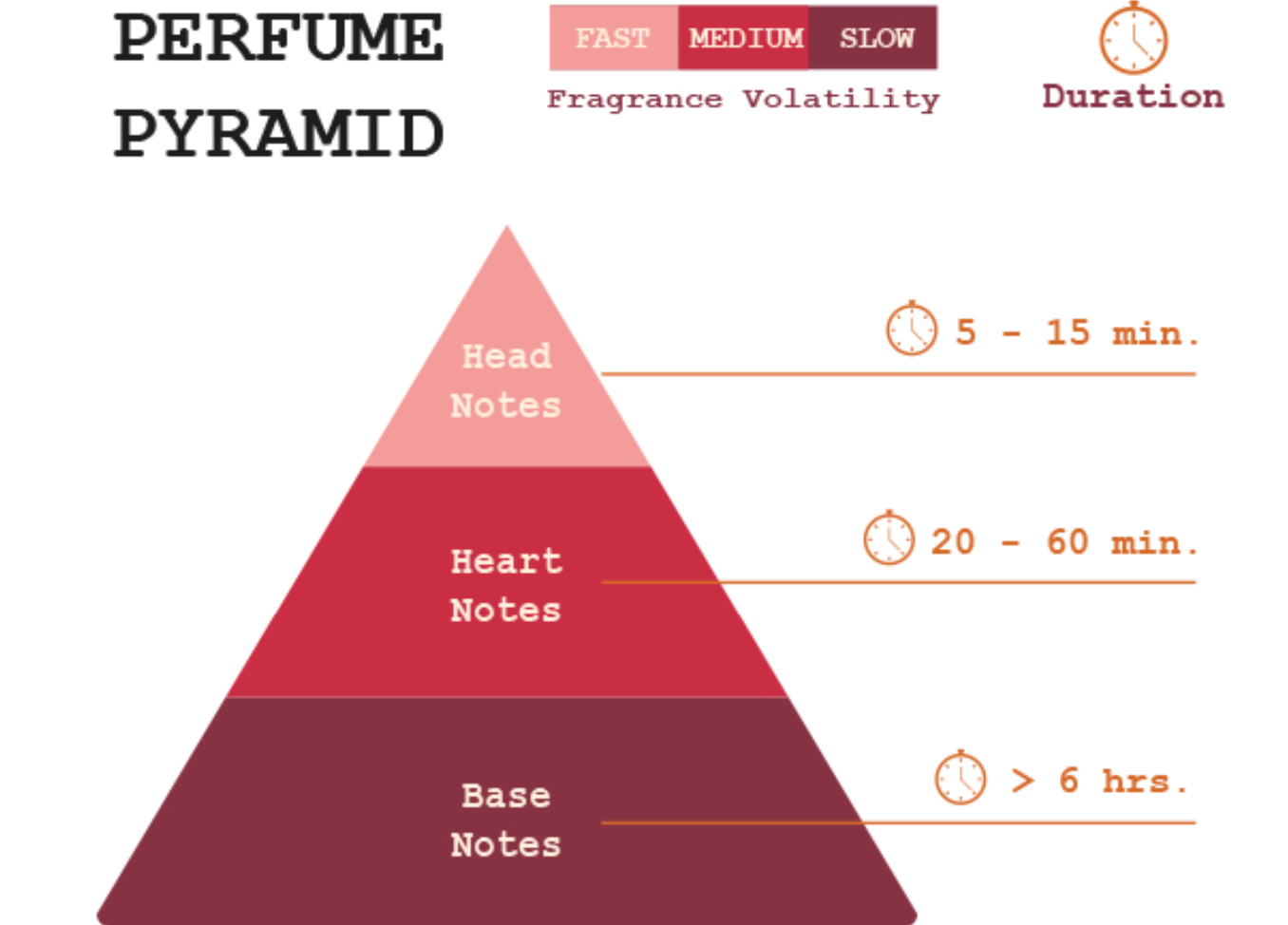 Perfume Notes: Finding the Best Perfume | Perfume Empire
